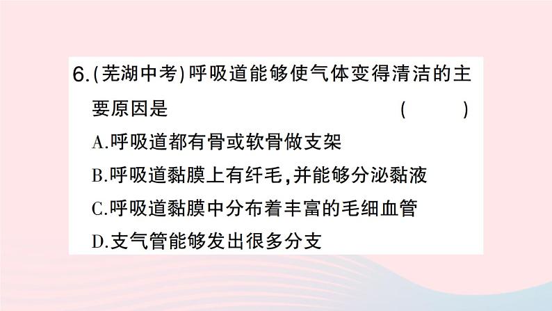 2023七年级生物下册第四单元生物圈中的人第三章人体的呼吸第一节呼吸道对空气的处理作业课件新版新人教版07