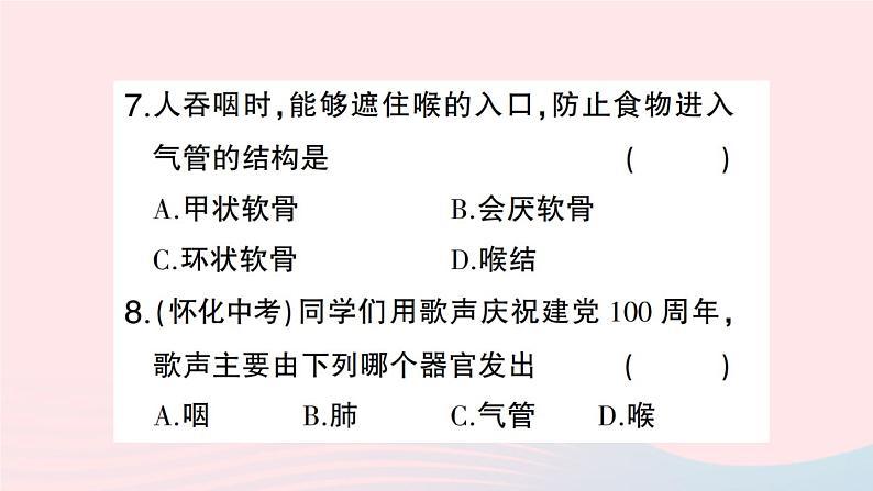 2023七年级生物下册第四单元生物圈中的人第三章人体的呼吸第一节呼吸道对空气的处理作业课件新版新人教版08