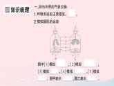 2023七年级生物下册第四单元生物圈中的人第三章人体的呼吸第二节发生在肺内的气体交换作业课件新版新人教版