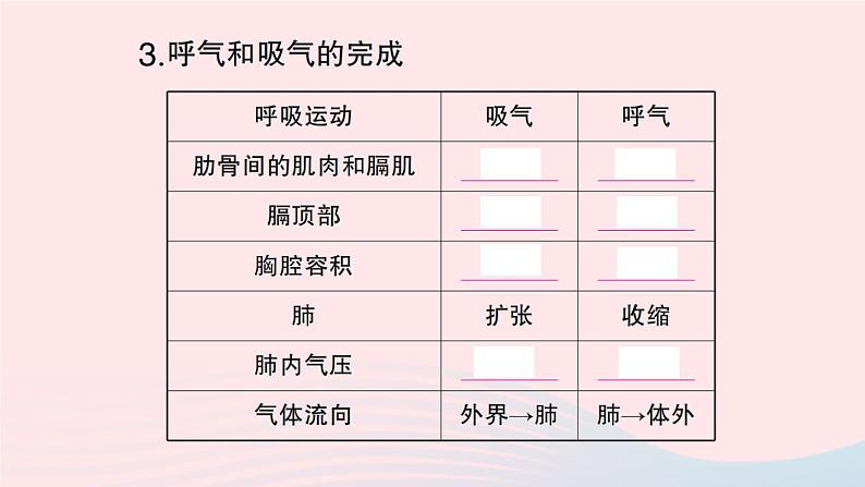 2023七年级生物下册第四单元生物圈中的人第三章人体的呼吸第二节发生在肺内的气体交换作业课件新版新人教版03