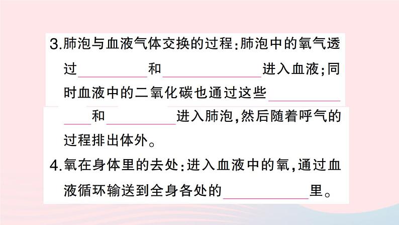 2023七年级生物下册第四单元生物圈中的人第三章人体的呼吸第二节发生在肺内的气体交换作业课件新版新人教版05