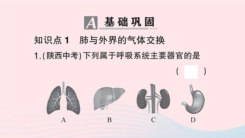 2023七年级生物下册第四单元生物圈中的人第三章人体的呼吸第二节发生在肺内的气体交换作业课件新版新人教版06