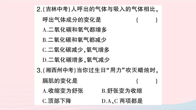 2023七年级生物下册第四单元生物圈中的人第三章人体的呼吸第二节发生在肺内的气体交换作业课件新版新人教版07