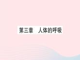 2023七年级生物下册第四单元生物圈中的人第三章人体的呼吸重点题型突破作业课件新版新人教版