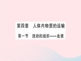 2023七年级生物下册第四单元生物圈中的人第四章人体内物质的运输第一节流动的组织___血液作业课件新版新人教版