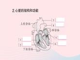 2023七年级生物下册第四单元生物圈中的人第四章人体内物质的运输第三节输送血液的泵___心脏第一课时心脏的结构和功能作业课件新版新人教版