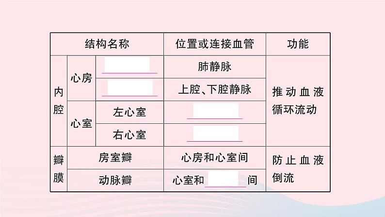 2023七年级生物下册第四单元生物圈中的人第四章人体内物质的运输第三节输送血液的泵___心脏第一课时心脏的结构和功能作业课件新版新人教版第4页