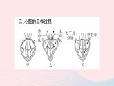 2023七年级生物下册第四单元生物圈中的人第四章人体内物质的运输第三节输送血液的泵___心脏第一课时心脏的结构和功能作业课件新版新人教版