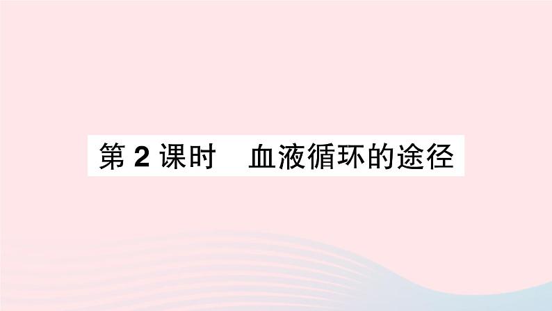 2023七年级生物下册第四单元生物圈中的人第四章人体内物质的运输第三节输送血液的泵___心脏第二课时血液循环的途径作业课件新版新人教版第1页