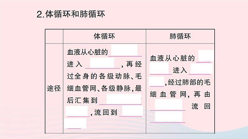 2023七年级生物下册第四单元生物圈中的人第四章人体内物质的运输第三节输送血液的泵___心脏第二课时血液循环的途径作业课件新版新人教版第3页