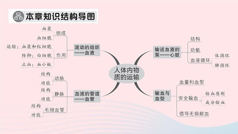 2023七年级生物下册第四单元生物圈中的人第四五章总结训练作业课件新版新人教版02