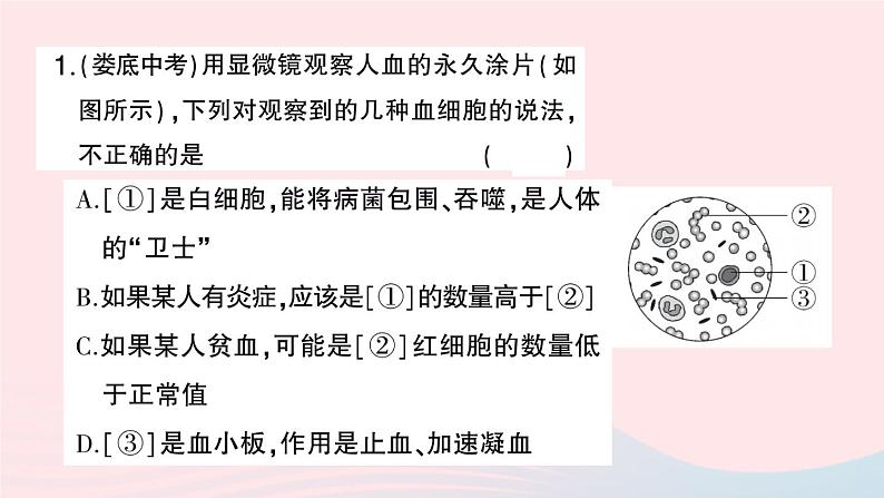 2023七年级生物下册第四单元生物圈中的人第四五章总结训练作业课件新版新人教版05