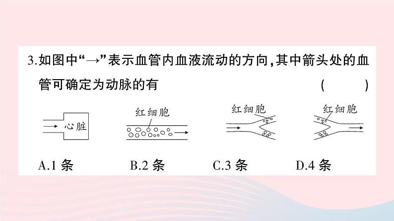 2023七年级生物下册第四单元生物圈中的人第四五章综合训练作业课件新版新人教版第4页