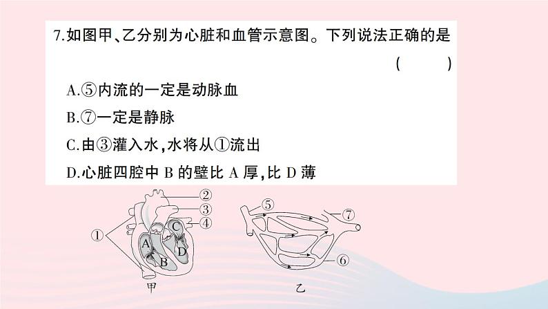 2023七年级生物下册第四单元生物圈中的人第四五章综合训练作业课件新版新人教版第8页