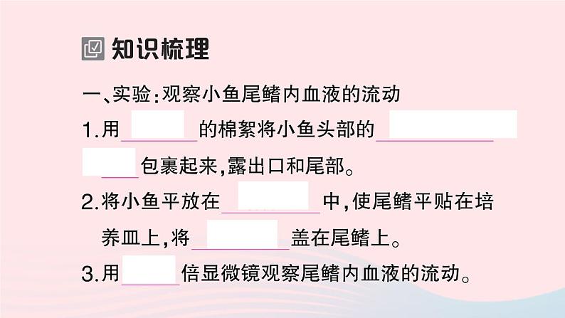 2023七年级生物下册第四单元生物圈中的人第四章人体内物质的运输第二节血流的管道___血管作业课件新版新人教版02