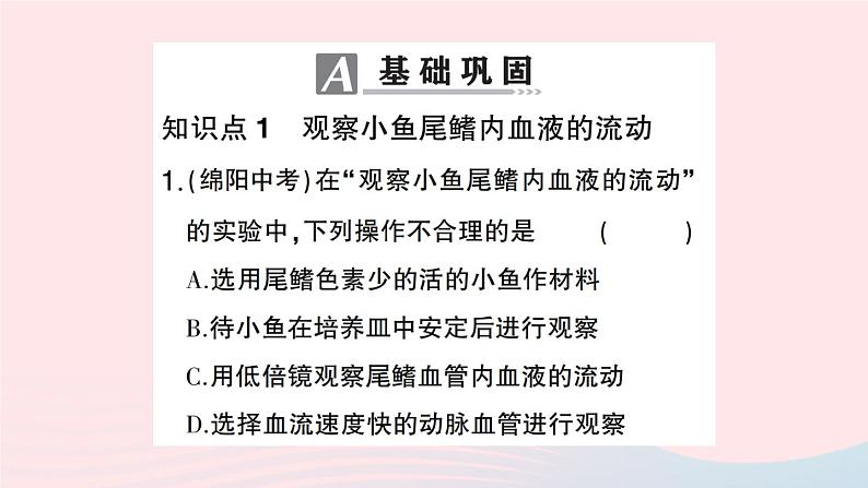 2023七年级生物下册第四单元生物圈中的人第四章人体内物质的运输第二节血流的管道___血管作业课件新版新人教版07