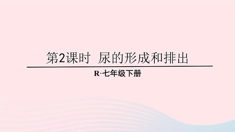 2023七年级生物下册第四单元生物圈中的人第五章人体内废物的排出第二课时尿的形成和排出上课课件新版新人教版01