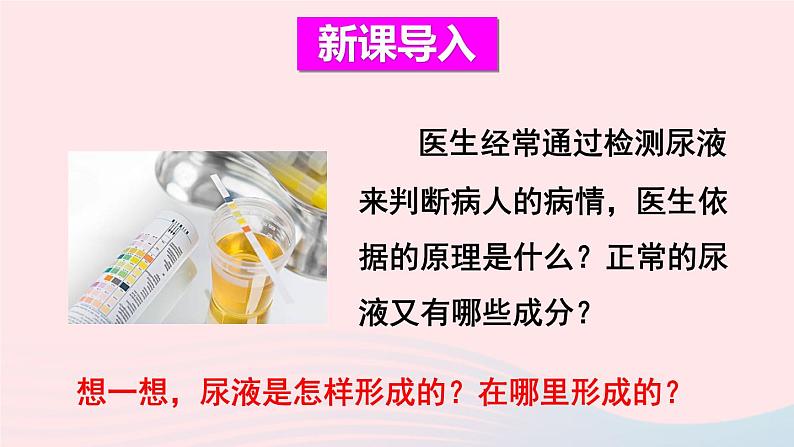 2023七年级生物下册第四单元生物圈中的人第五章人体内废物的排出第二课时尿的形成和排出上课课件新版新人教版02