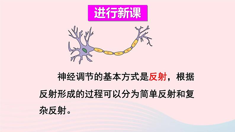 2023七年级生物下册第四单元生物圈中的人第六章人体生命活动的调节第三节神经调节的基本方式上课课件新版新人教版03