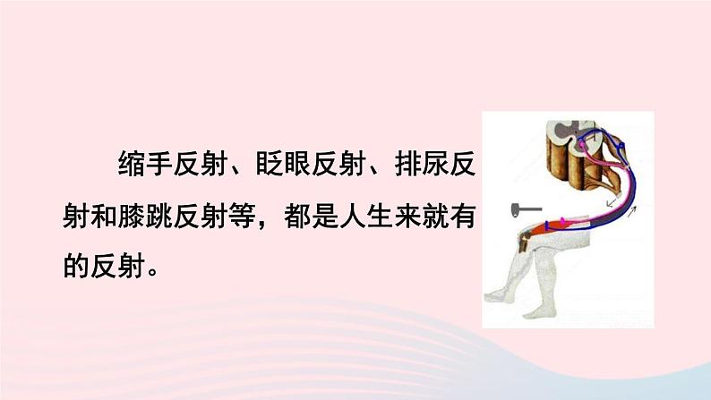 2023七年级生物下册第四单元生物圈中的人第六章人体生命活动的调节第三节神经调节的基本方式上课课件新版新人教版04