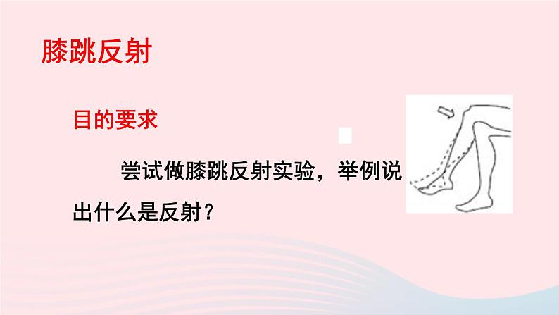 2023七年级生物下册第四单元生物圈中的人第六章人体生命活动的调节第三节神经调节的基本方式上课课件新版新人教版06