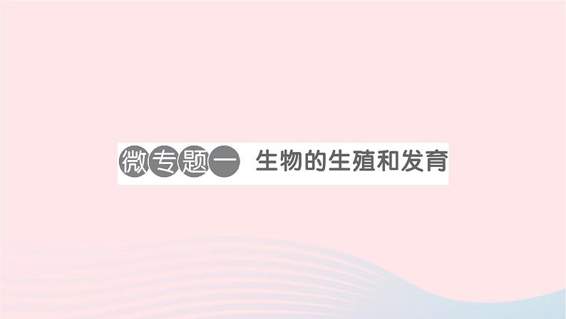 2023八年级生物下册第七单元生物圈中生命的延续和发展第一章生物的生殖和发育微专题一生物的生殖和发育作业课件新版新人教版01