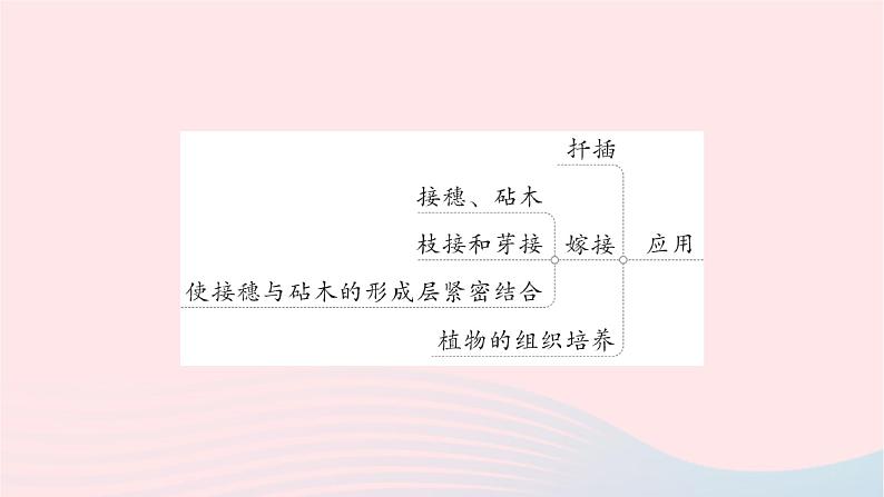 2023八年级生物下册第七单元生物圈中生命的延续和发展第一章生物的生殖和发育总结训练作业课件新版新人教版04