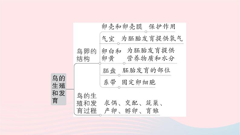 2023八年级生物下册第七单元生物圈中生命的延续和发展第一章生物的生殖和发育总结训练作业课件新版新人教版06