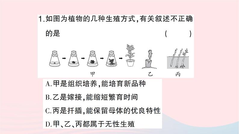 2023八年级生物下册第七单元生物圈中生命的延续和发展第一章生物的生殖和发育总结训练作业课件新版新人教版08