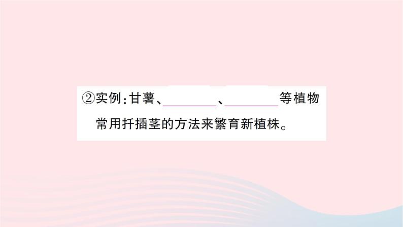 2023八年级生物下册第七单元生物圈中生命的延续和发展第一章生物的生殖和发育第一节植物的生殖第二课时无性生殖的应用作业课件新版新人教版第4页