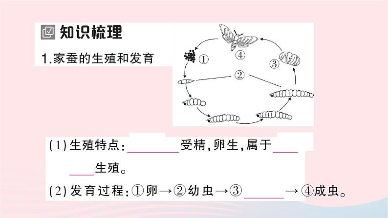 2023八年级生物下册第七单元生物圈中生命的延续和发展第一章生物的生殖和发育第二节昆虫的生殖和发育作业课件新版新人教版02