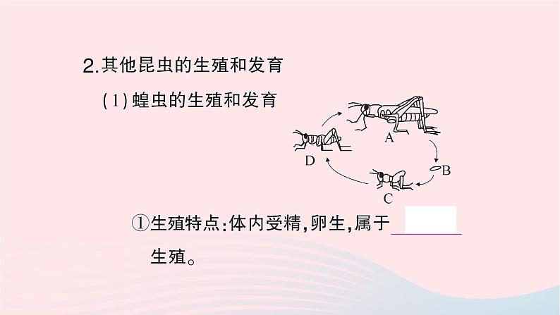 2023八年级生物下册第七单元生物圈中生命的延续和发展第一章生物的生殖和发育第二节昆虫的生殖和发育作业课件新版新人教版04