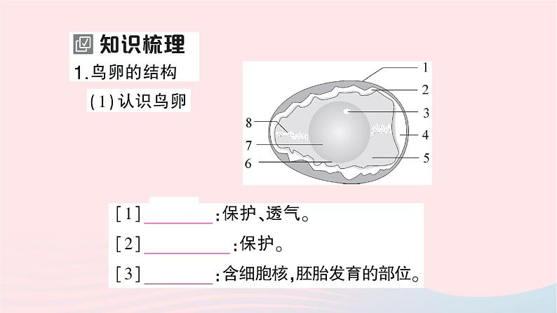 2023八年级生物下册第七单元生物圈中生命的延续和发展第一章生物的生殖和发育第四节鸟的生殖和发育作业课件新版新人教版02