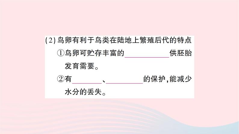 2023八年级生物下册第七单元生物圈中生命的延续和发展第一章生物的生殖和发育第四节鸟的生殖和发育作业课件新版新人教版04