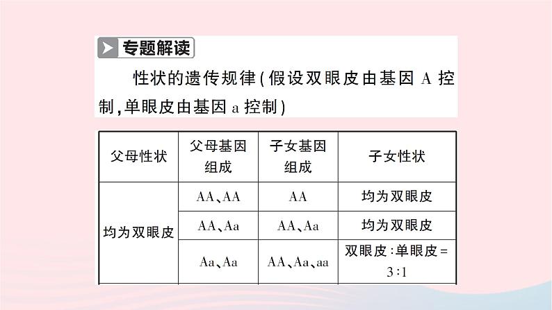 2023八年级生物下册第七单元生物圈中生命的延续和发展第二章生物的遗传与变异微专题二性状和基因的判定作业课件新版新人教版第2页