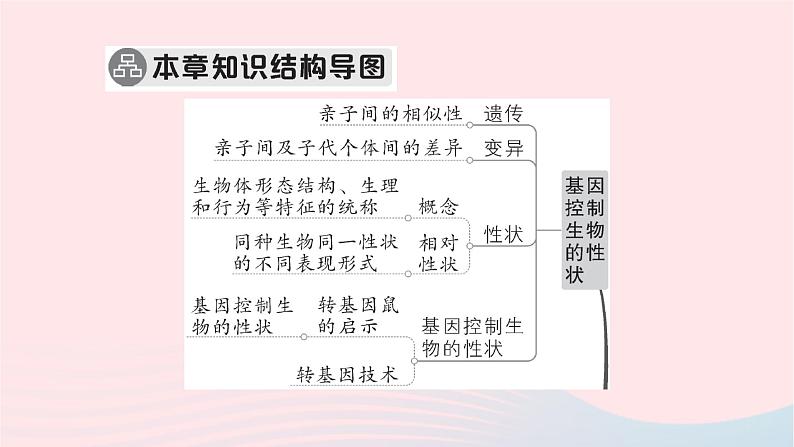 2023八年级生物下册第七单元生物圈中生命的延续和发展第二章生物的遗传与变异总结训练作业课件新版新人教版02