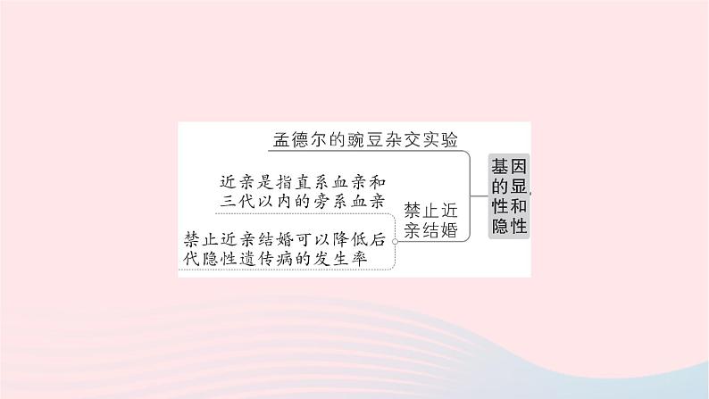 2023八年级生物下册第七单元生物圈中生命的延续和发展第二章生物的遗传与变异总结训练作业课件新版新人教版04