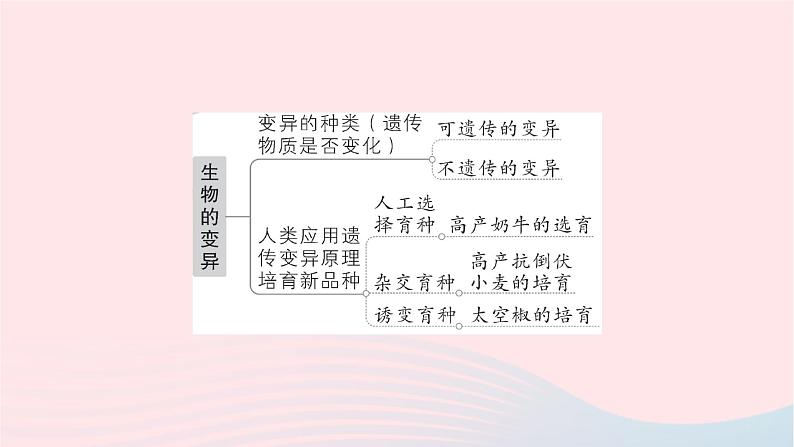 2023八年级生物下册第七单元生物圈中生命的延续和发展第二章生物的遗传与变异总结训练作业课件新版新人教版05