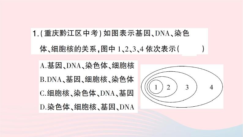 2023八年级生物下册第七单元生物圈中生命的延续和发展第二章生物的遗传与变异总结训练作业课件新版新人教版07