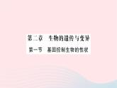 2023八年级生物下册第七单元生物圈中生命的延续和发展第二章生物的遗传与变异第一节基因控制生物的性状作业课件新版新人教版