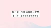 初中生物人教版 (新课标)八年级下册第一节 基因控制生物的性状作业课件ppt