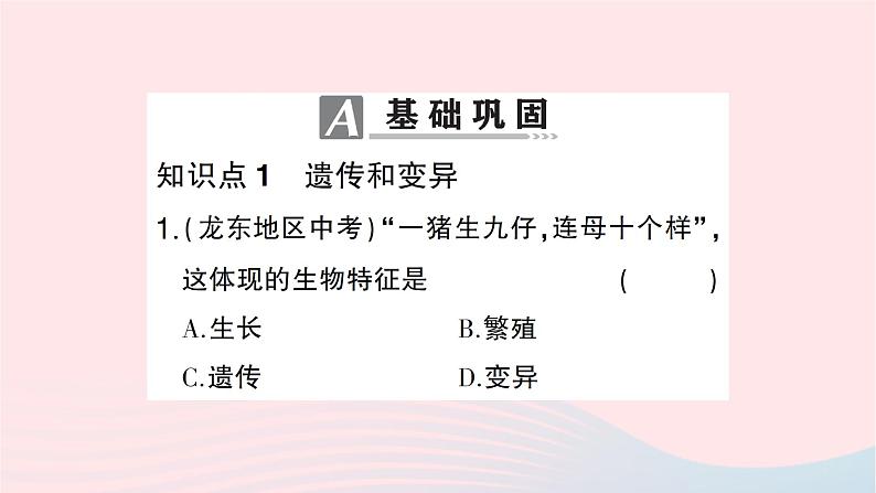 2023八年级生物下册第七单元生物圈中生命的延续和发展第二章生物的遗传与变异第一节基因控制生物的性状作业课件新版新人教版06