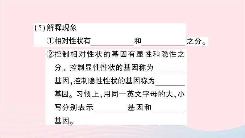 2023八年级生物下册第七单元生物圈中生命的延续和发展第二章生物的遗传与变异第三节基因的显性和隐性作业课件新版新人教版04