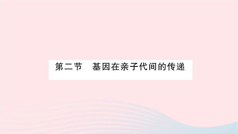 2023八年级生物下册第七单元生物圈中生命的延续和发展第二章生物的遗传与变异第二节基因在亲子代间的传递作业课件新版新人教版第1页