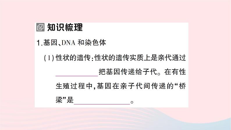 2023八年级生物下册第七单元生物圈中生命的延续和发展第二章生物的遗传与变异第二节基因在亲子代间的传递作业课件新版新人教版第2页