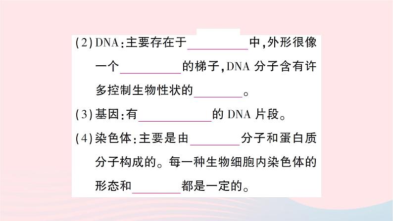 2023八年级生物下册第七单元生物圈中生命的延续和发展第二章生物的遗传与变异第二节基因在亲子代间的传递作业课件新版新人教版第3页