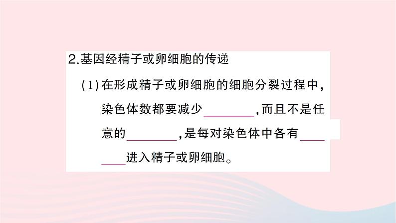 2023八年级生物下册第七单元生物圈中生命的延续和发展第二章生物的遗传与变异第二节基因在亲子代间的传递作业课件新版新人教版第5页