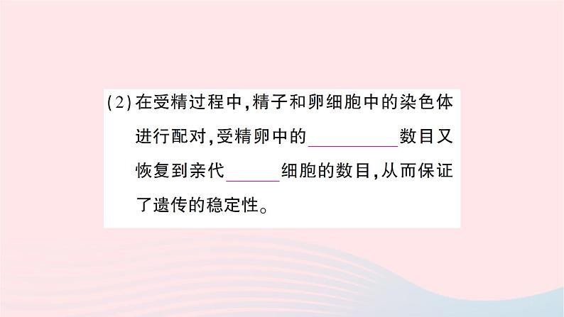 2023八年级生物下册第七单元生物圈中生命的延续和发展第二章生物的遗传与变异第二节基因在亲子代间的传递作业课件新版新人教版第6页