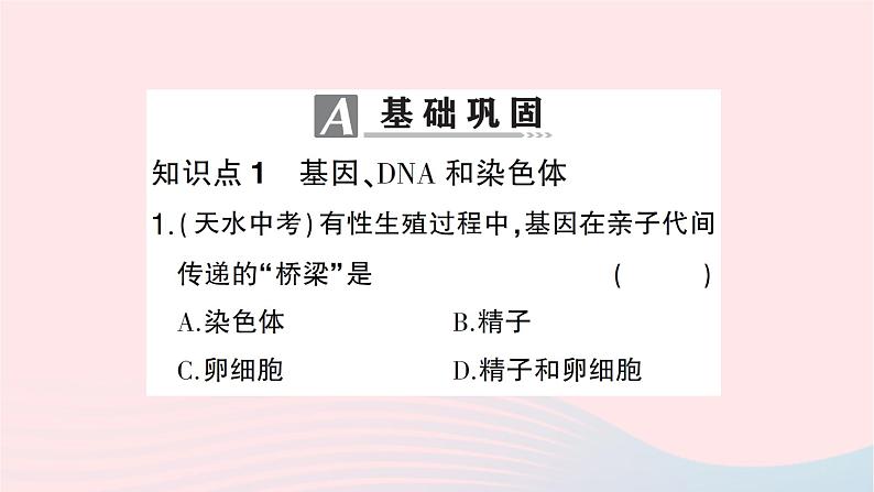 2023八年级生物下册第七单元生物圈中生命的延续和发展第二章生物的遗传与变异第二节基因在亲子代间的传递作业课件新版新人教版第7页