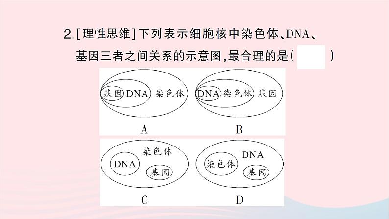 2023八年级生物下册第七单元生物圈中生命的延续和发展第二章生物的遗传与变异第二节基因在亲子代间的传递作业课件新版新人教版第8页